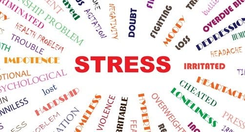 The Secret to overcoming your Stress